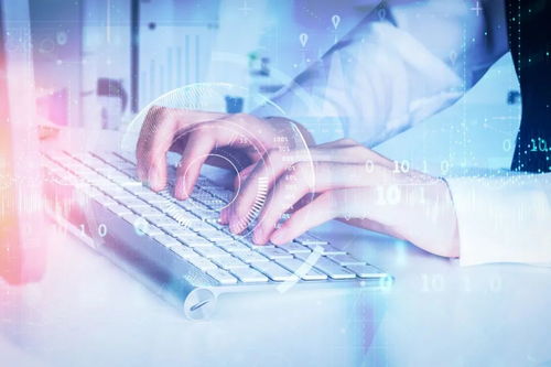 龍巖市 防控不松弦 招商不斷鏈 信息咨詢服務(wù)助發(fā)展